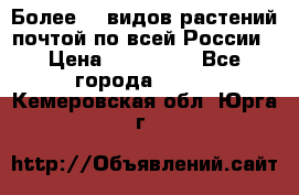 Более200 видов растений почтой по всей России › Цена ­ 100-500 - Все города  »    . Кемеровская обл.,Юрга г.